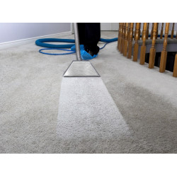 3 Room/Hall Carpet Clean