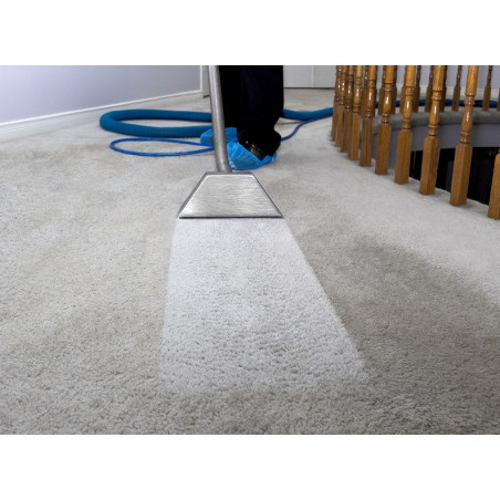 3 Room/Hall Carpet Clean