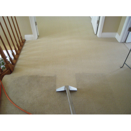 4 Rooms Carpet Clean Promotion